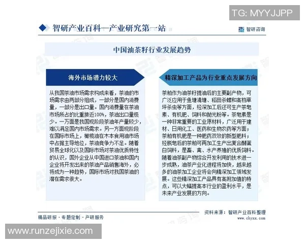 深度解读球星卡足球288收藏价值与未来市场发展趋势分析